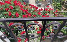 Aux Augustins