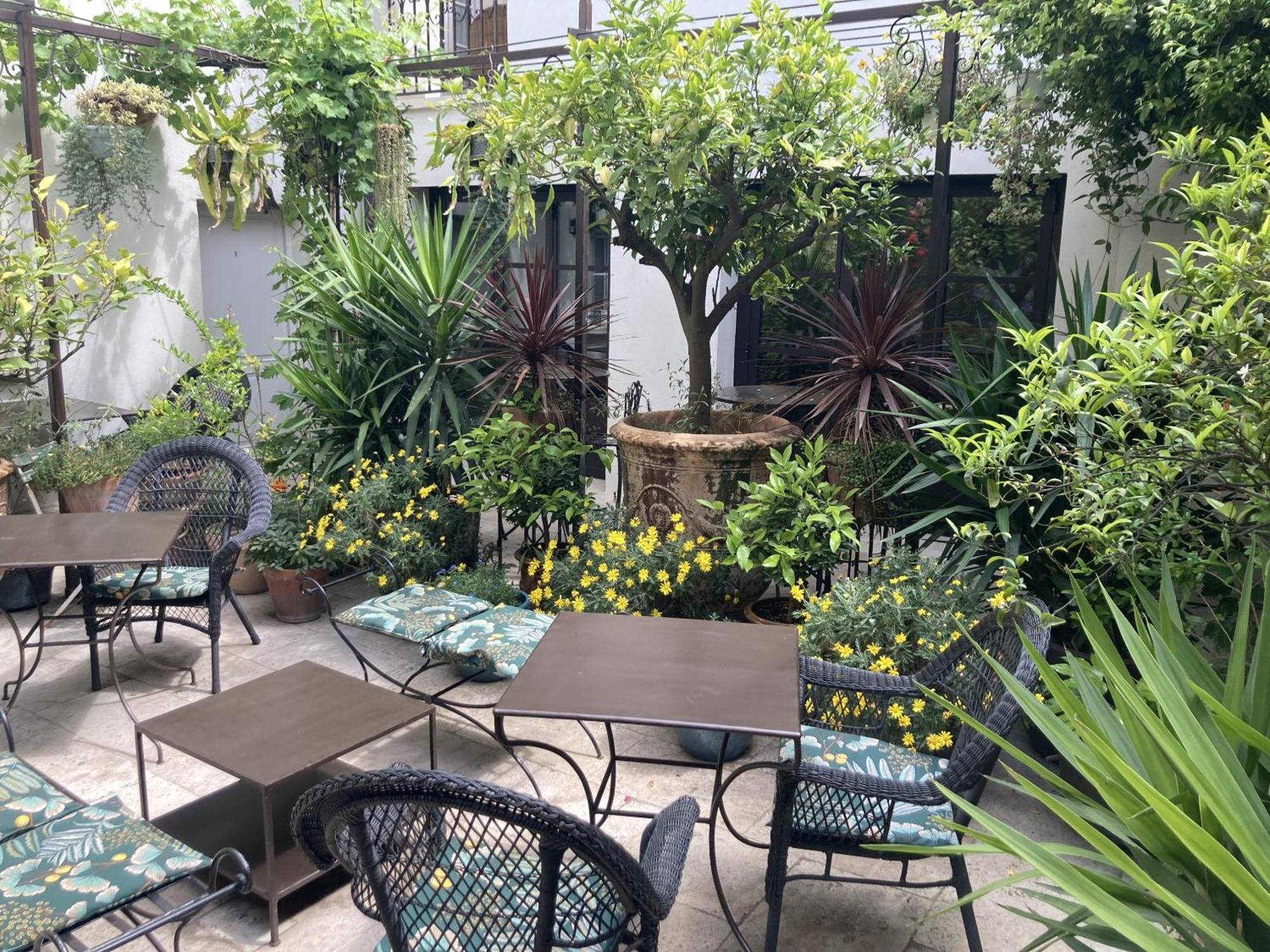 Bed and Breakfast Aux Augustins Avignon Zimmer foto