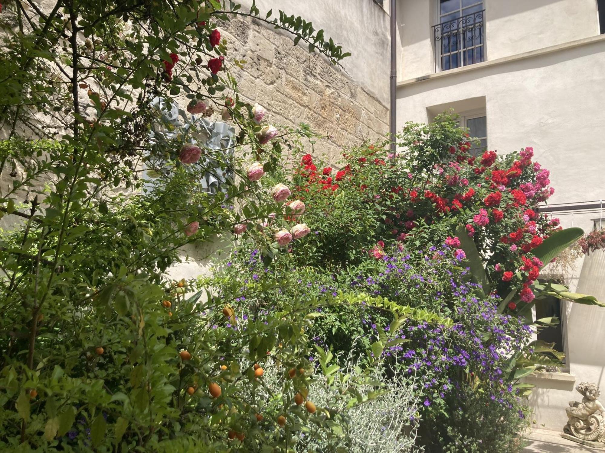 Bed and Breakfast Aux Augustins Avignon Zimmer foto