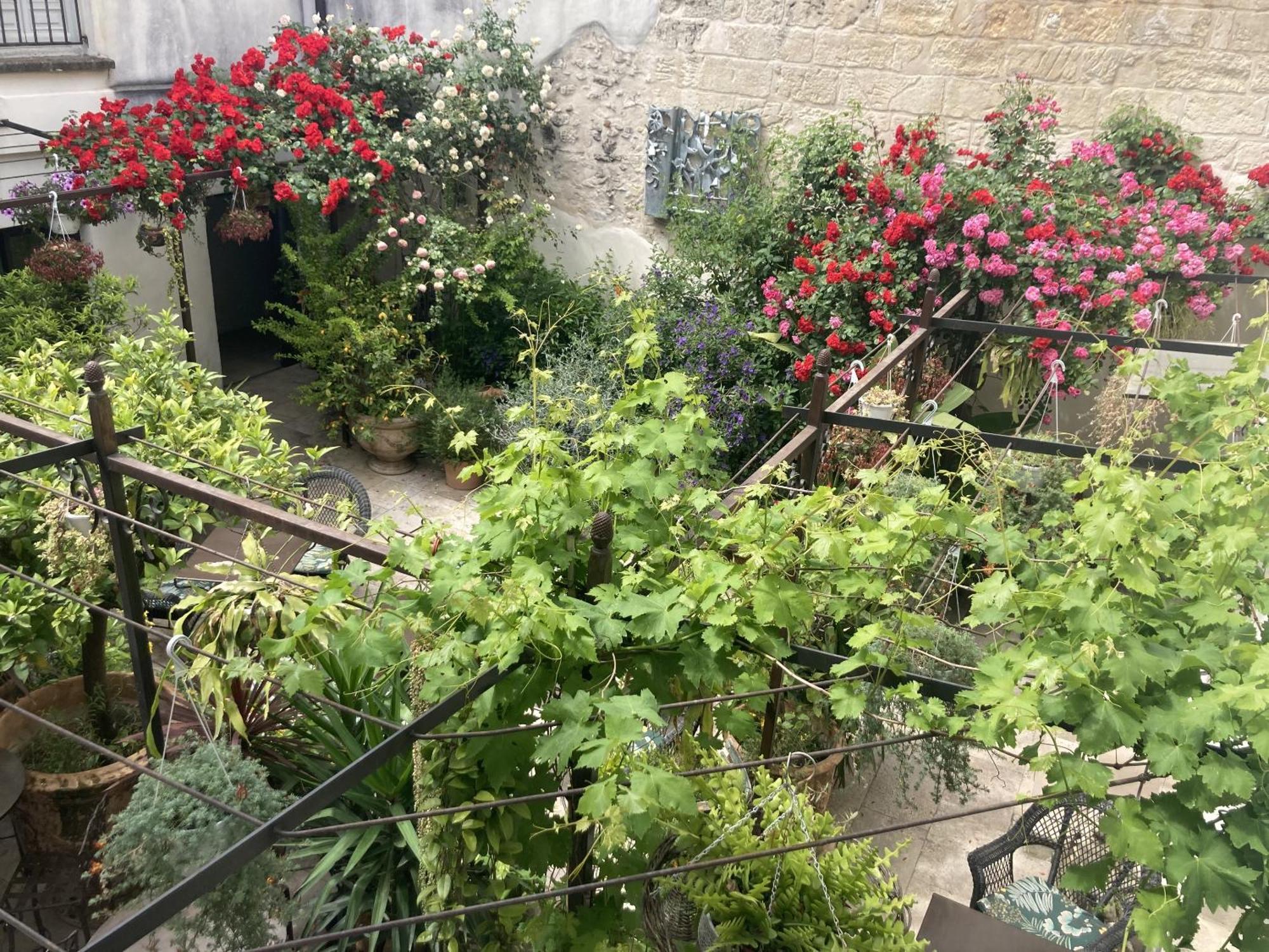 Bed and Breakfast Aux Augustins Avignon Zimmer foto