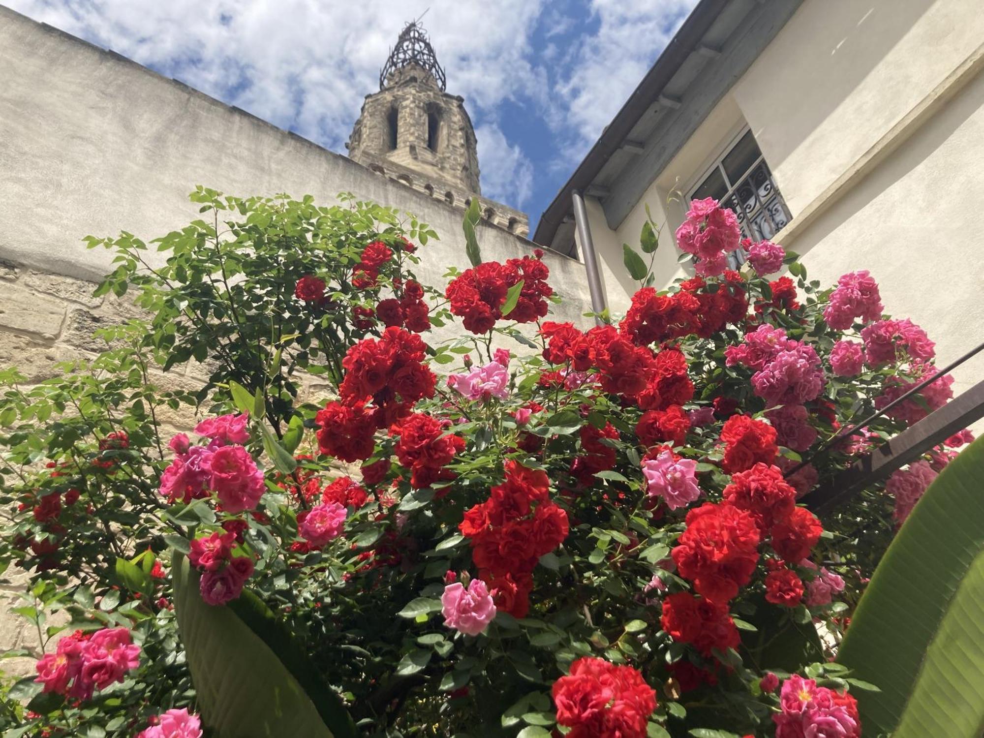 Bed and Breakfast Aux Augustins Avignon Exterior foto
